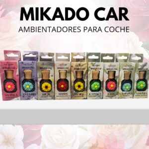 Ambientador para Coche